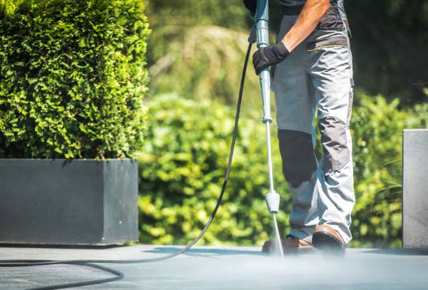 Best Roof Washing  in Delcambre, LA