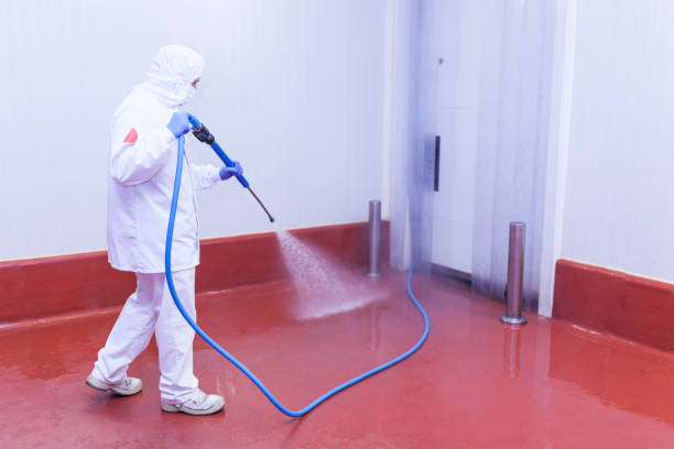 Trusted Delcambre, LA Pressure Washing Services Experts